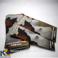 Customize Restaurant flyers printing (ks-321)